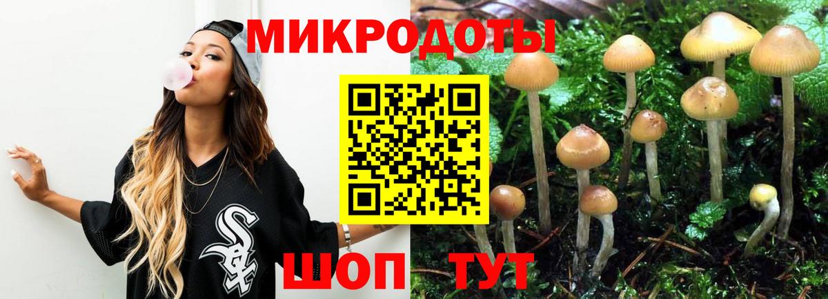 Галлюциногенные грибы Cubensis  Вход с VPN  Галлюциногенные грибы ЛСД  Таганрог 