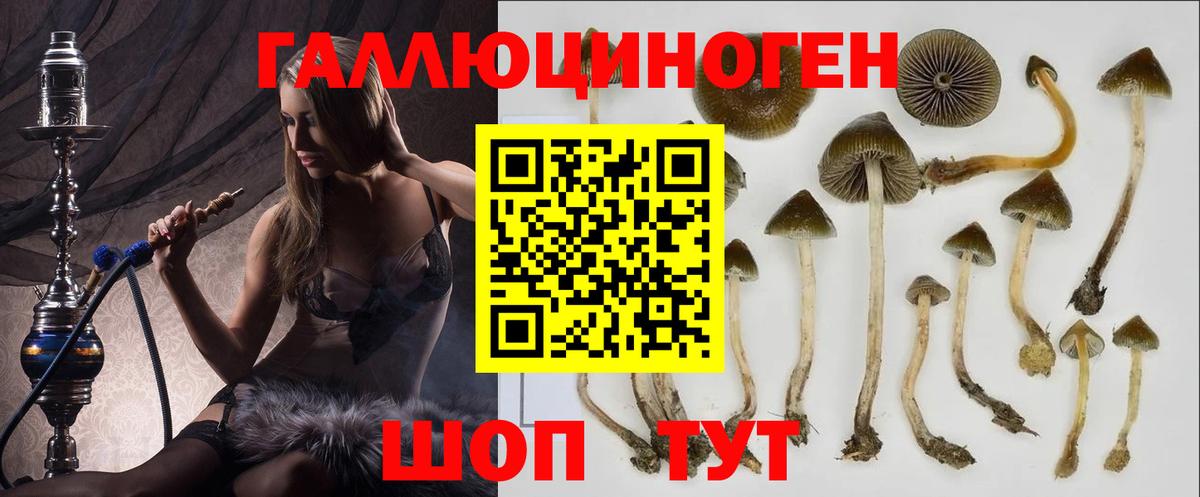 Псилоцибиновые грибы мицелий Таганрог